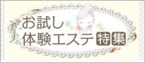 今月の特集